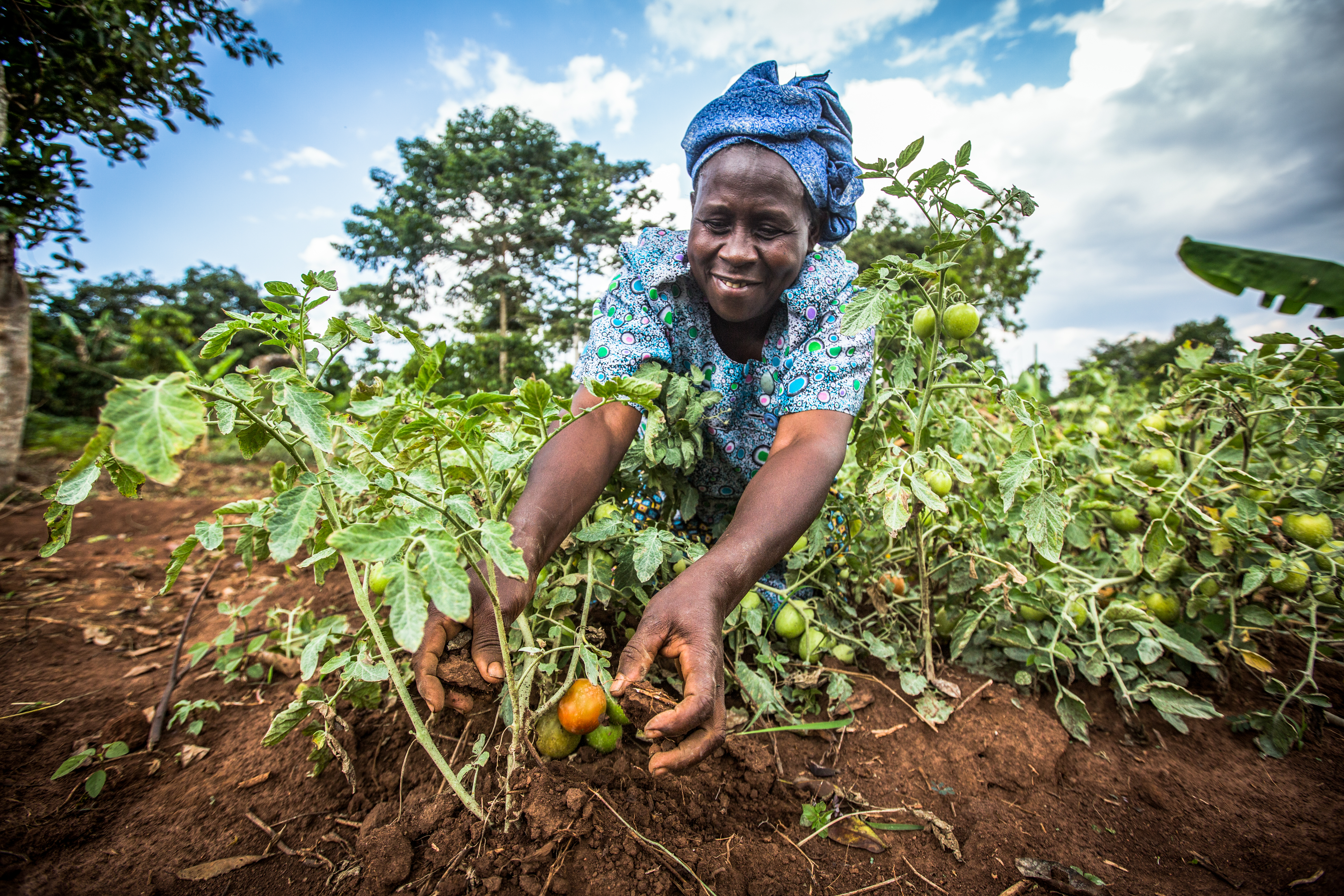 Margret Kigozi, farmer in Uganda, SUM-Africa ©NSO/G4AW